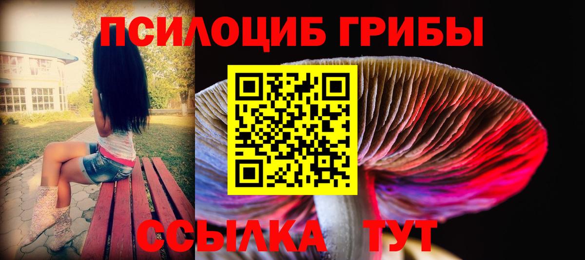 Псилоцибиновые грибы GOLDEN TEACHER  наркотики  Псилоцибиновые грибы Magic Shrooms  Новокуйбышевск  Вход с VPN 